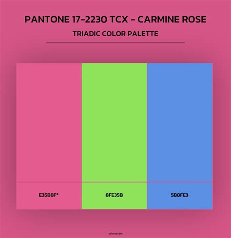 PANTONE 17-2230 TCX - Carmine Rose color palettes - colorxs.com