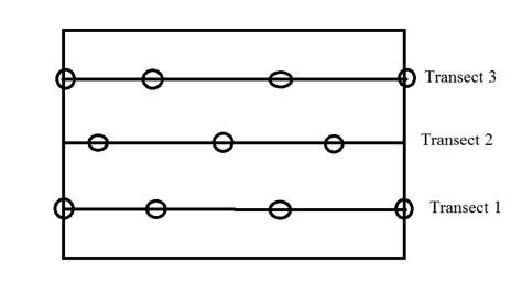 Image result for Transect Method Continuous Sampling