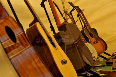 Image result for Stringed Instruments