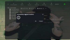 Image result for Sub-Zero Executor Roblox