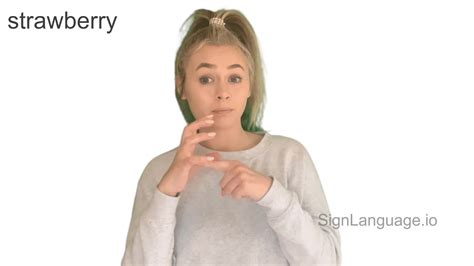 Sign Language Example 的图像结果