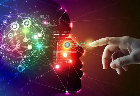 Data Quality Collection 的图像结果