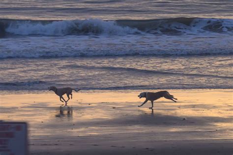 Swell fading, wind coming