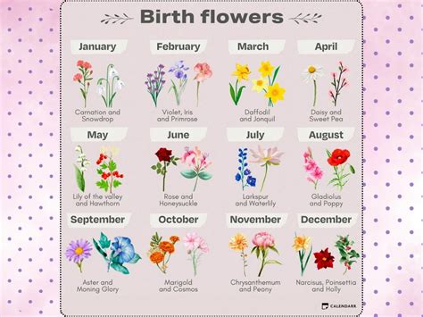Birth Month Flowers: Discover What Yours Means - Calendarr