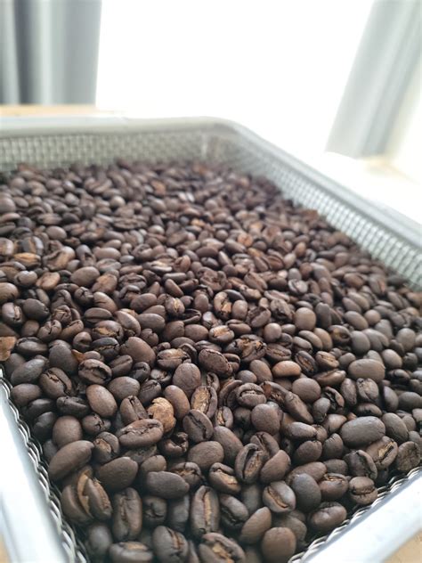 Ethiopia Irgachefe G1 kochere (エチオピア・イルガチェフェG1・コチェレ) | Κυκλοφορία ...