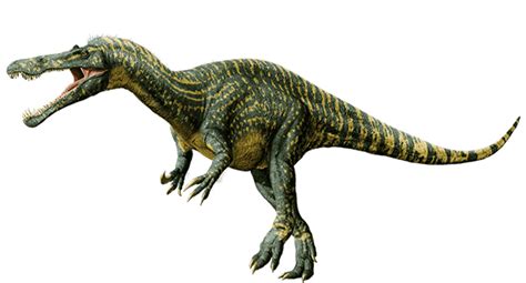 Did Carnivorous Dinosaurs Eat Only Meat? Fish, Insects and Surprises