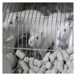 Acute Toxicity Studies in Ghaziabad,Sub Acute Toxicity Studies in Uttar ...