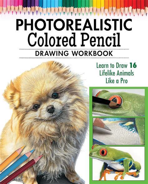 Photorealistic Colored Pencil Drawing Workbook (Book 2): Learn to Draw ...