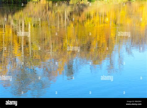 Image result for Water Reflection Spring