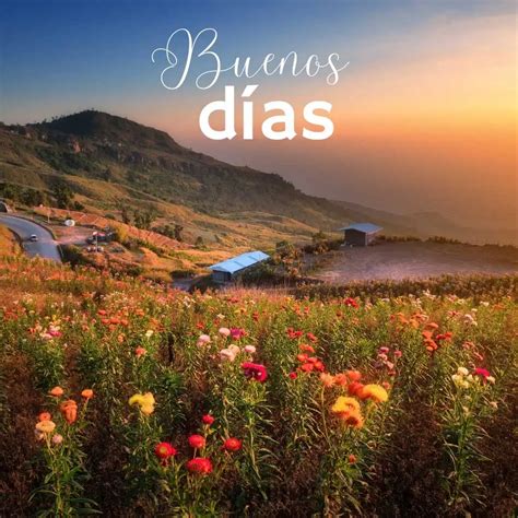 40+ Imágenes de Buenos Días: Inspira / Amor ¡Nuevas y Bonitas!