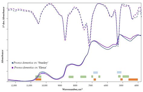 Assessment of Maturity of Plum Samples Using Fourier Transform Near ...