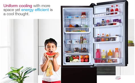 Godrej 430 L 3 Star ( 2019 ) Inverter Frost-Free Double Door ...