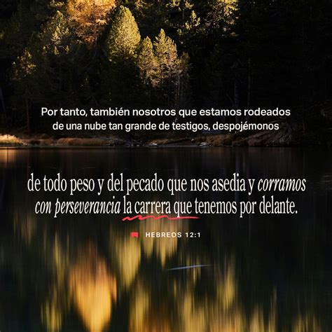 Hebreos 12:1 (DHH23ST) - Por eso nosotros, que estamos rodea | YouVersion