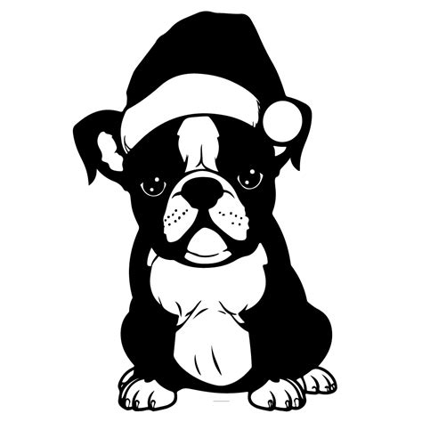 Free French Bulldog Wearing A Santa Hat - Background Black And White ...