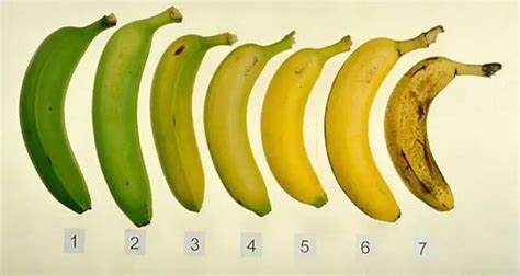 香蕉有“直的”和“弯的”，聪明的人都这样挑 ↘ - 封面新闻