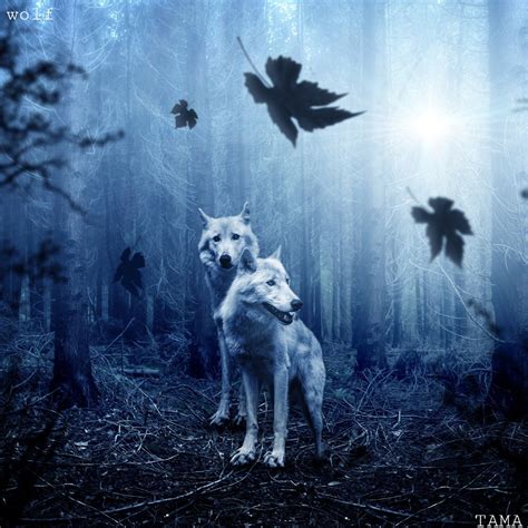 アマラとカマラ(狼に育てられた少女)の伝説からわかること - TAMA Reports