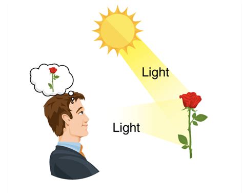 Visual Language Design 的图像结果