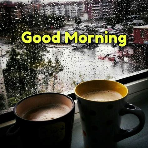 Good Morning With Rain