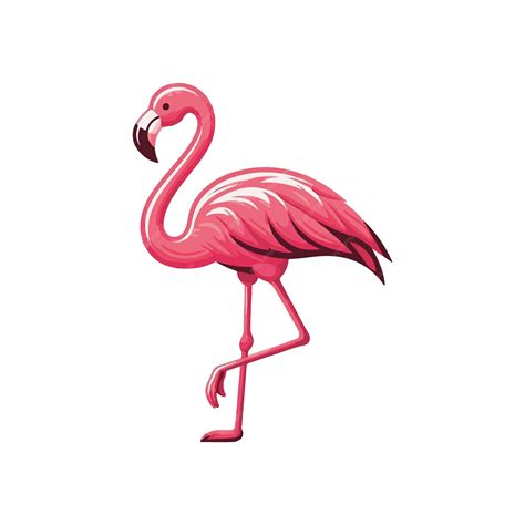 Flamingo clip art vector | Premium AI-generated vector