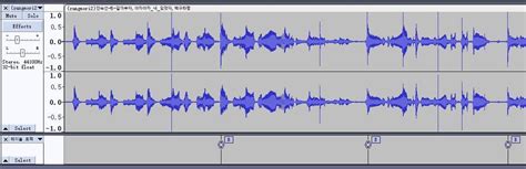 Image result for Audacity Export Labels