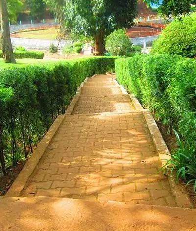 Sims Park Coonoor – Timings, Entry Fee & Ticket Price