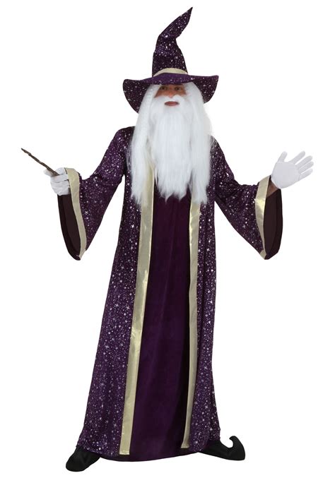 Adult Purple Wizard Costume | Storybook Costumes