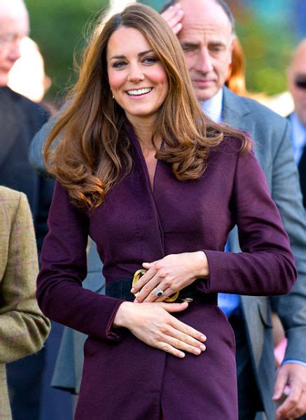 英王室确认凯特王妃怀孕 所怀婴儿有望继位|凯特怀孕_影音娱乐_新浪网