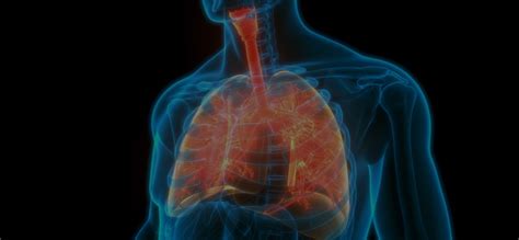 Pulmonology Specialist In Seawoods | Dr. Tanay Sinha