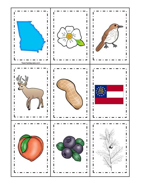 Georgia State Symbols Learning Games, Preschool-1st Grade (digital ...