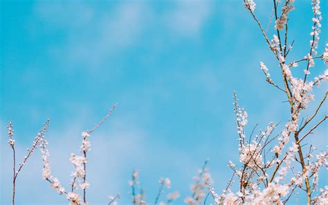 Image result for Spring Cloud Netflix