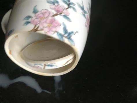 Vigneto Floral Victorian Green Coffee Mug Set | Set of 2 Mugs, 300 ML ...