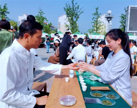中国茶叶流通协会：2019中国茶叶消费市场报告_品牌