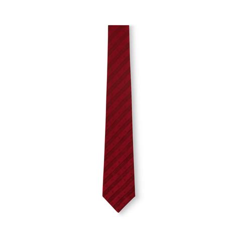Ties and Pocket Squares - Men | Louis Vuitton India