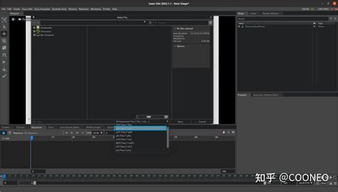 Iassim Programming Tutorial 的图像结果