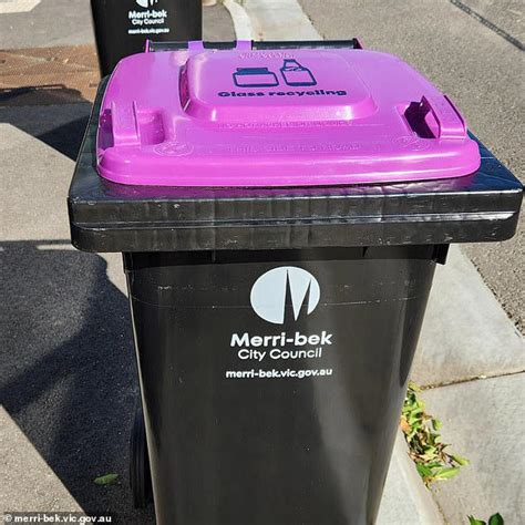 The huge bin change that could be coming for millions of Aussie households