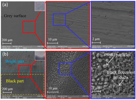 Investigation of the Surface Characteristics of GCr15 in ...