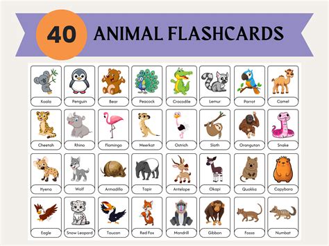 40 Zoo Animal Flashcards, Montessori Materials, Educational Printable ...