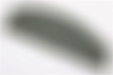 ratisbon's | Waffen-SS Polizei-Division sidecap | DISCOVER GENUINE ...