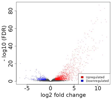 Cardiovascular Complications in Patients with Prostate Cancer ...