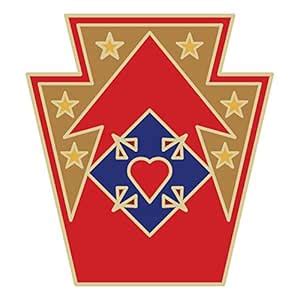 USAMM Army 213th Support Group Veteran Unit Sticker : Amazon.in: Car ...