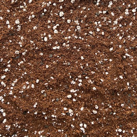Coco Perlite Mix 70 30 With Activated Biochar Enhanced Potting ...
