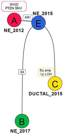 Genomic Evolution and Transcriptional Changes in the Evolution of ...