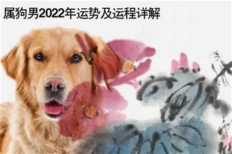 2023年属狗的每月运程(2022年属狗的运程怎么样)_生肖_若朴堂文化