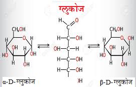 कुरतडणारे प्राणी (Rodents) – मराठी विश्वकोश