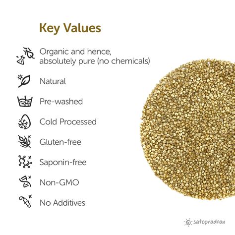 Best Organic Gluten-Free Quinoa Online | Satopradhan