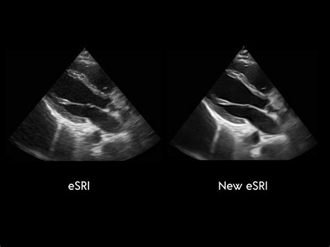 CD-Elite - Konica Minolta