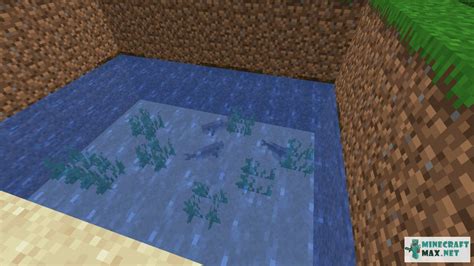 Image result for Minecraft Cod Block