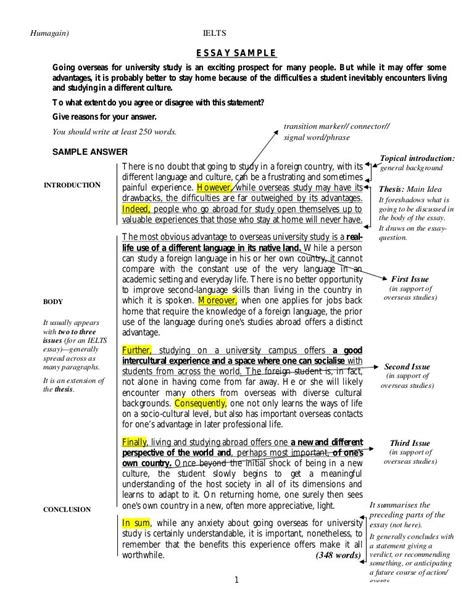 Example of Good Essay 的图像结果