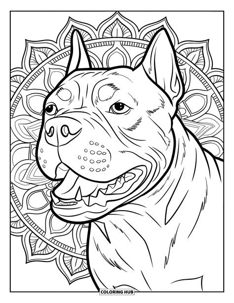 100+ Pitbull Coloring Pages for Kids & Adults (Free Printable PDFs)