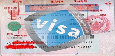 [广州送签]泰国商务签证（不限护照签发地+可加急）,马蜂窝自由行 - 马蜂窝自由行